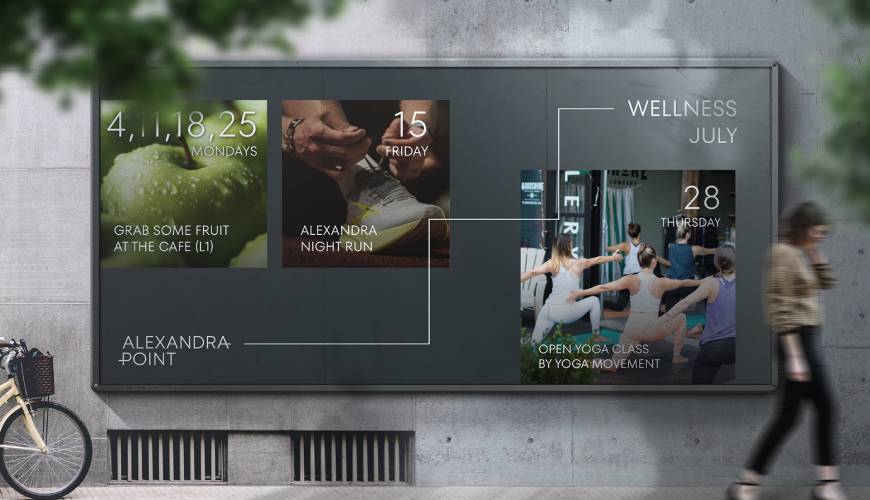 乐安县画册设计公司如何进行品牌审核