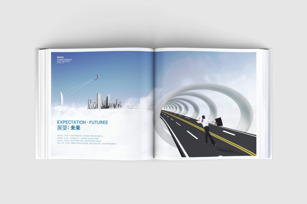 乐安县画册设计