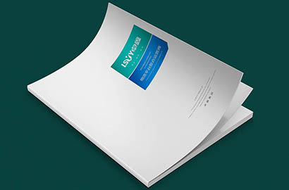 乐安县样本册设计：以严谨逻辑，展现城市产业的硬核实力